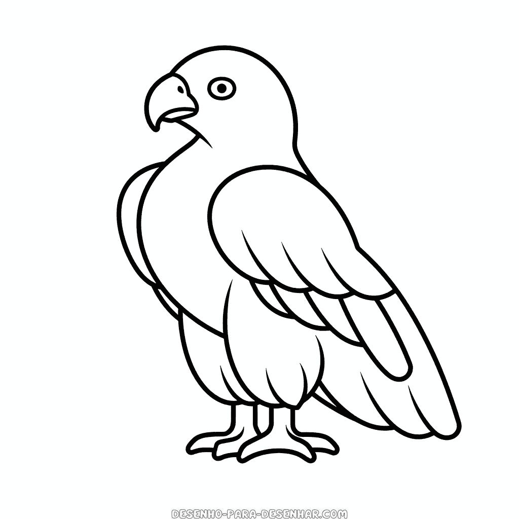 Desenho de águia