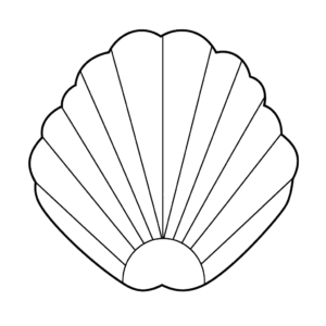 Desenho de amêijoa