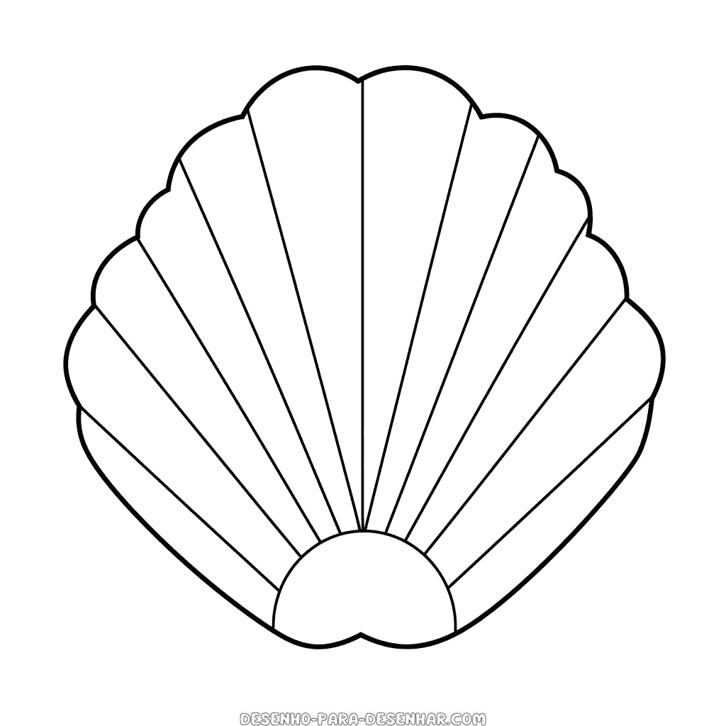 Desenho de amêijoa