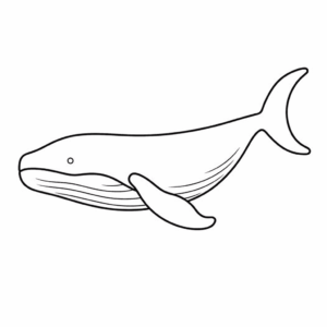 Desenho de baleia jubarte
