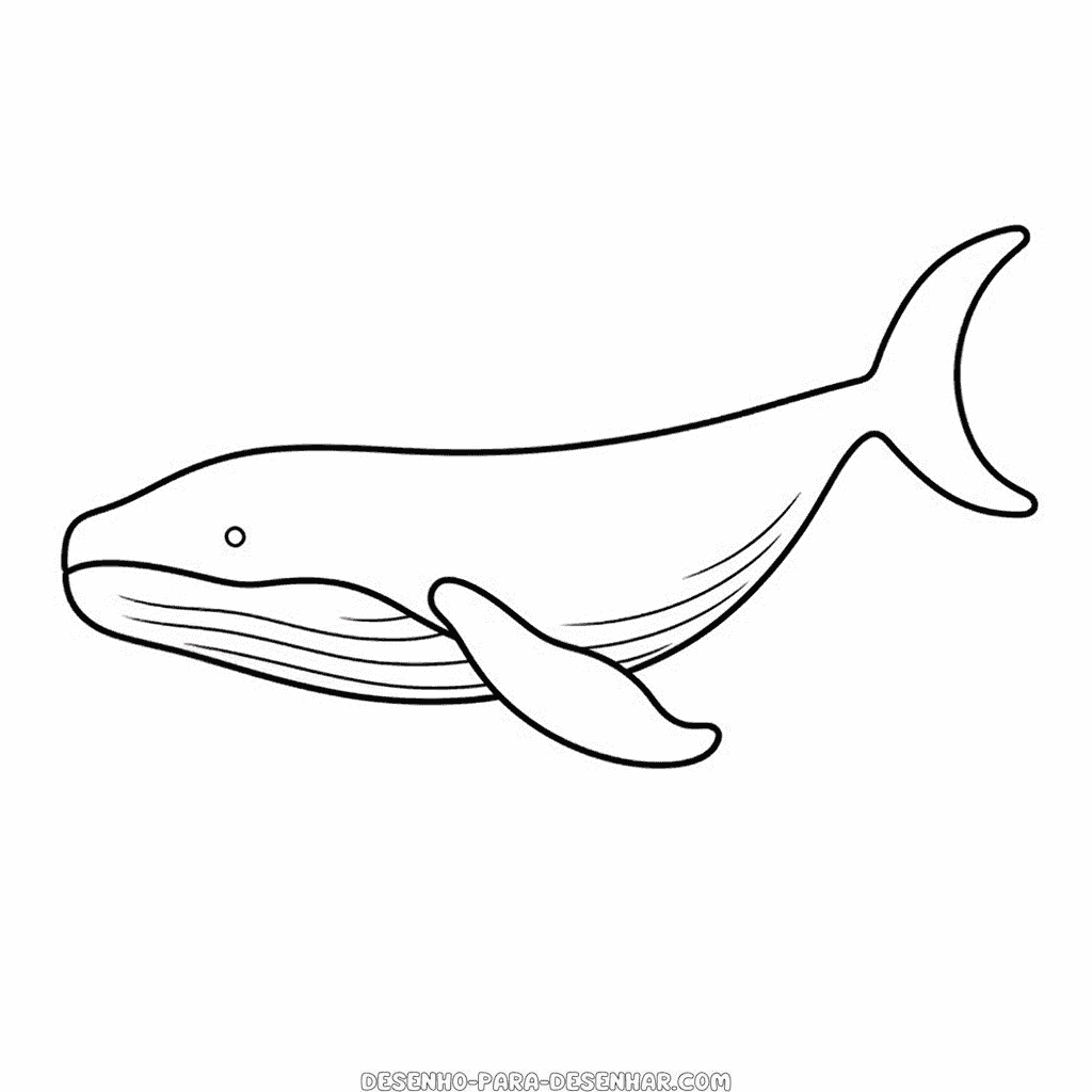 Desenho de baleia jubarte