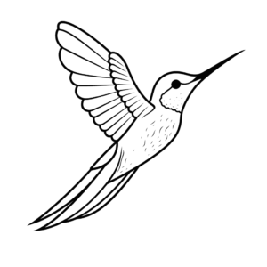 Desenho de beija flor