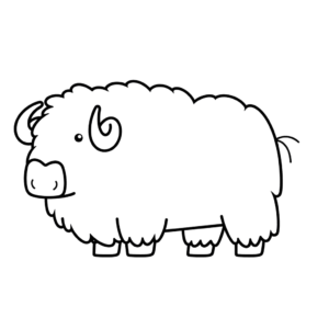 Desenho de boi almiscarado
