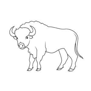 Desenho de búfalo