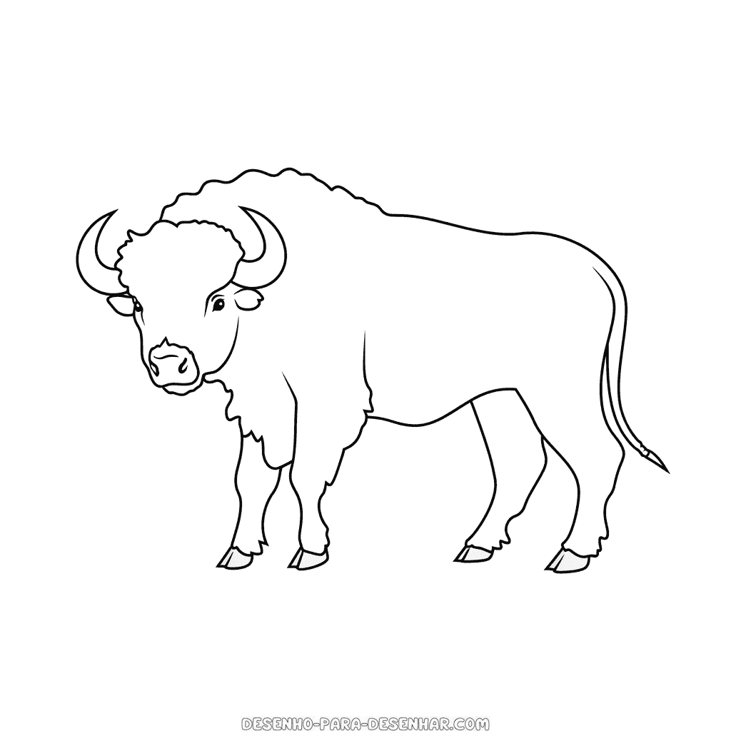 Desenho de búfalo
