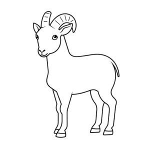 Desenho de cabra