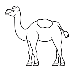 Desenho de camelo