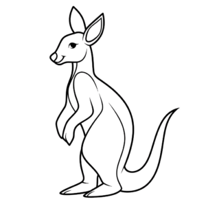 Desenho de canguru