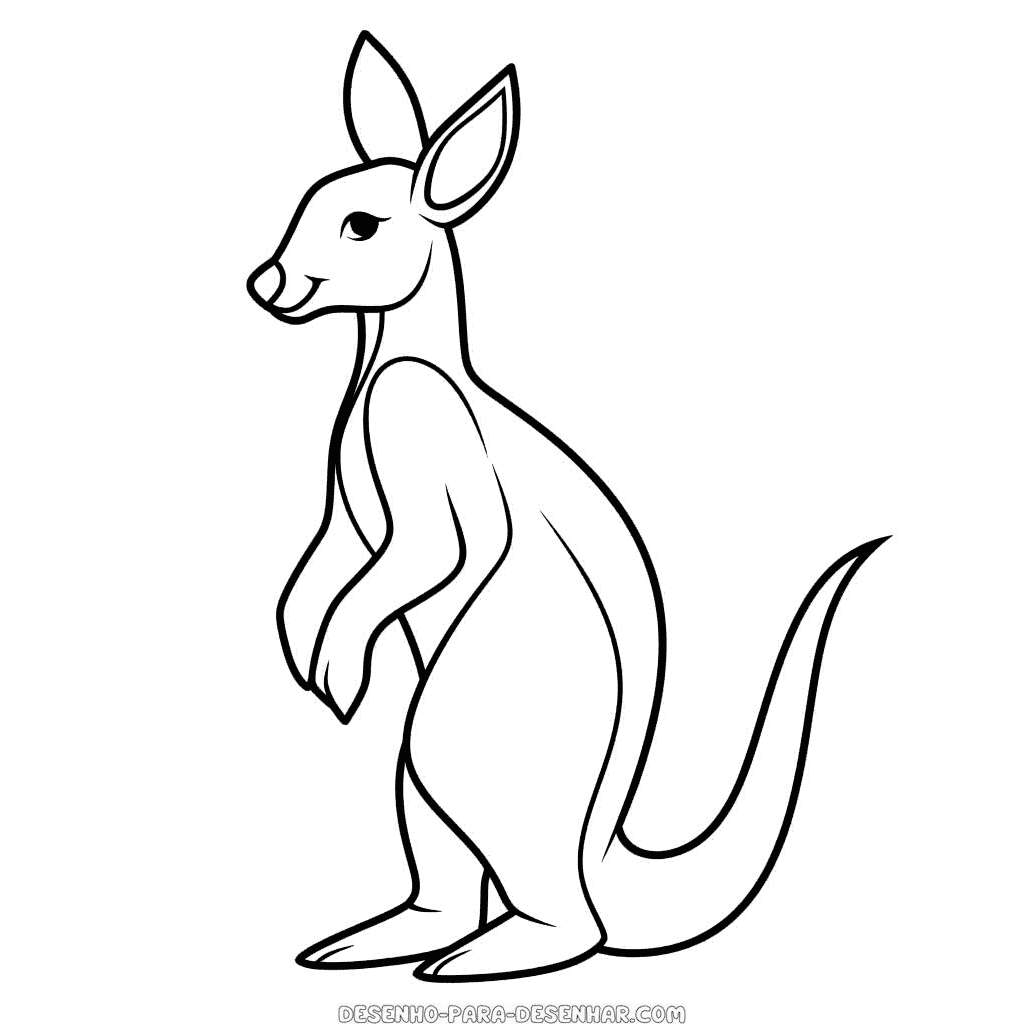 Desenho de canguru