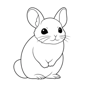 Desenho de chinchila