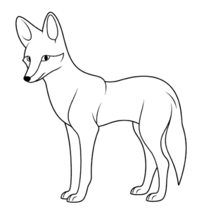 Desenho de coiote