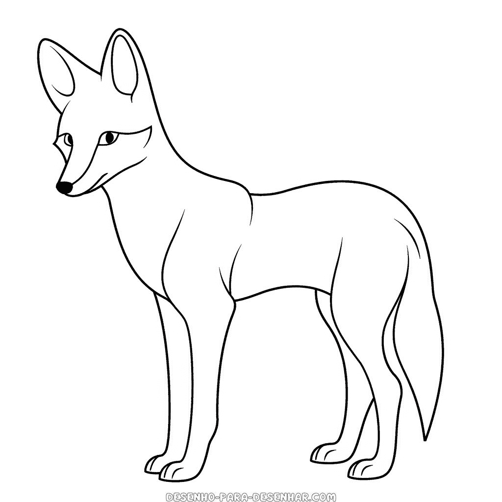 Desenho de coiote