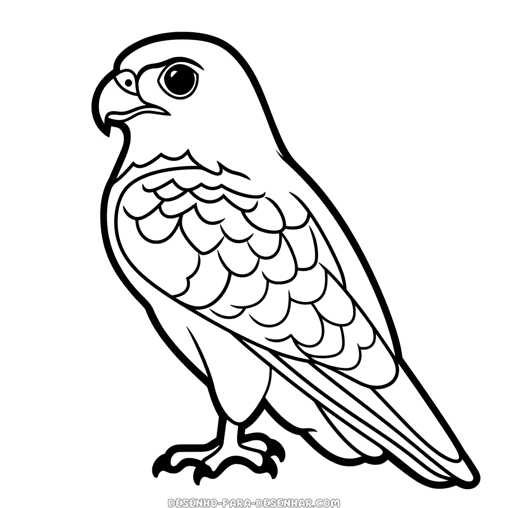 Desenho de falcão
