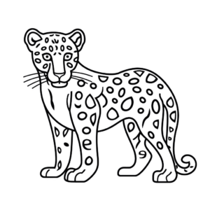Desenho de jaguar