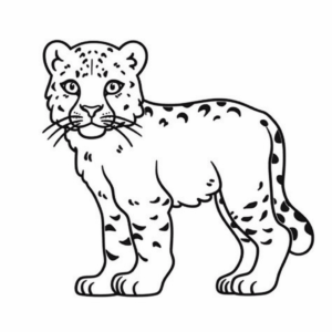 Desenho de leopardo da neve