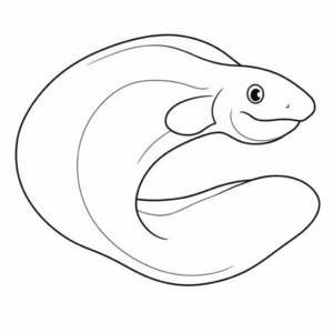 Desenho de moreia