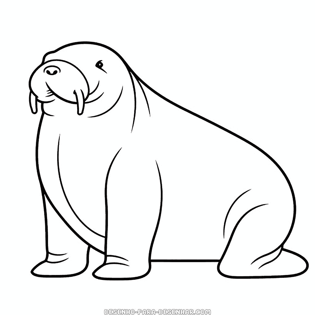 Desenho de morsa