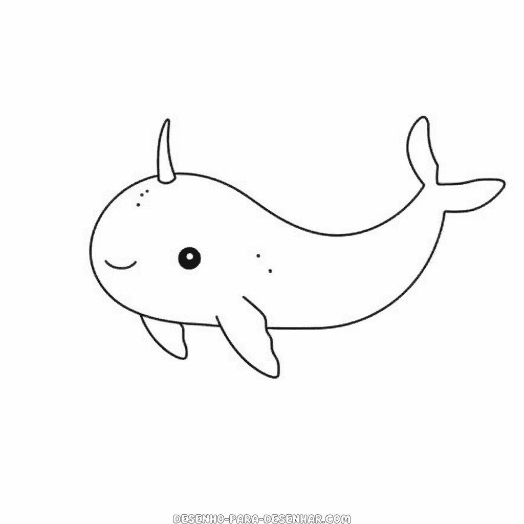 Desenho de narval