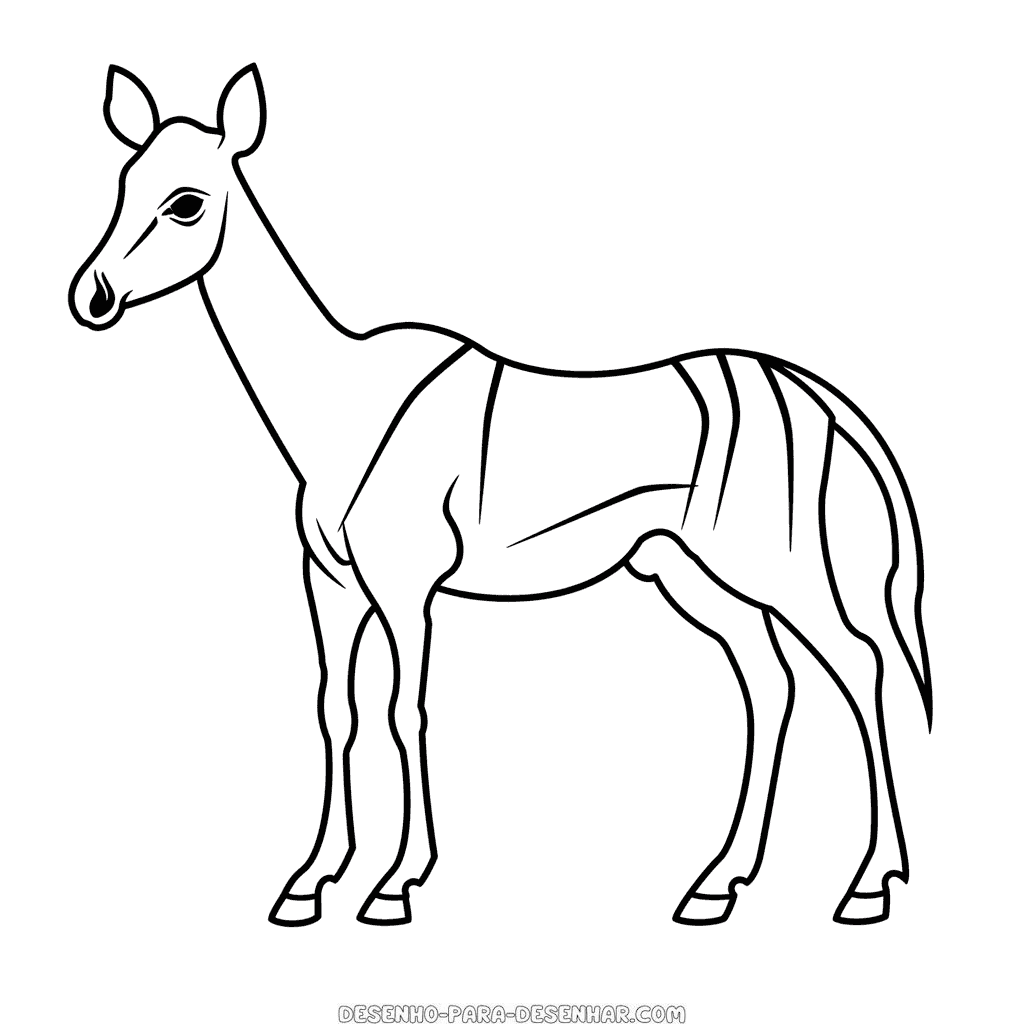 Desenho de okapi