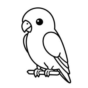 Desenho de papagaio