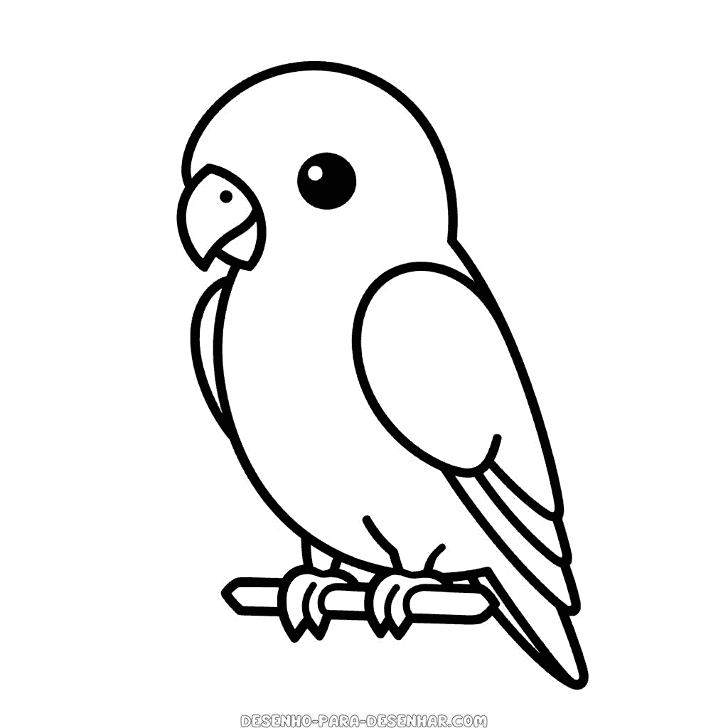 Desenho de papagaio
