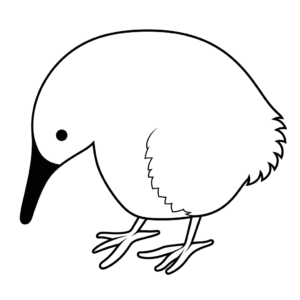Desenho de pássaro kiwi