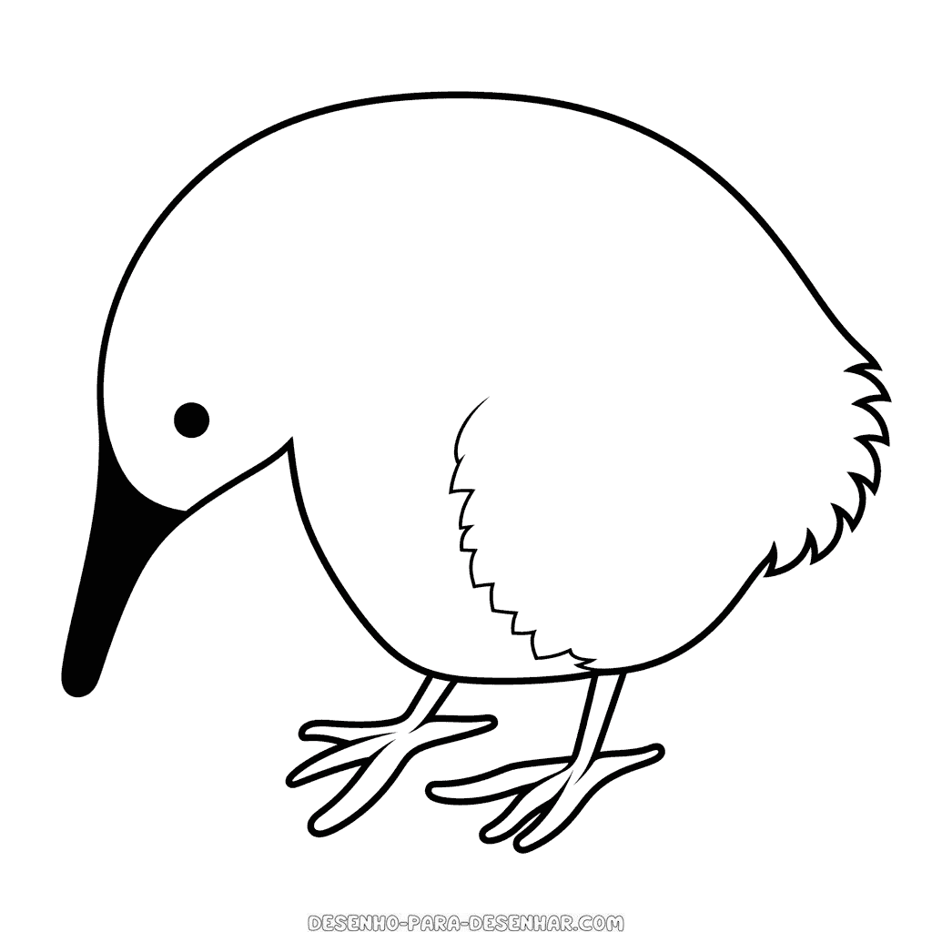 Desenho de pássaro kiwi