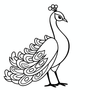Desenho de pavão