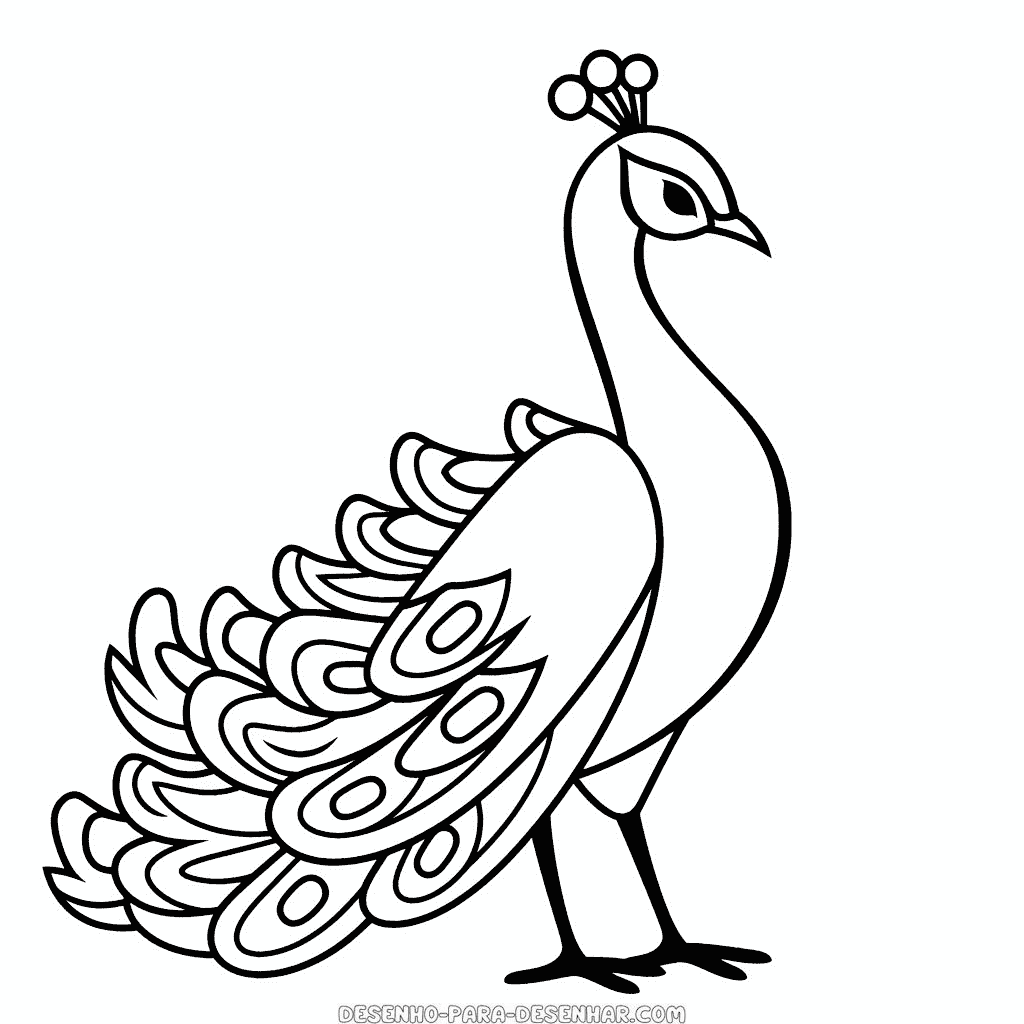 Desenho de pavão