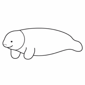 Desenho de peixe-boi