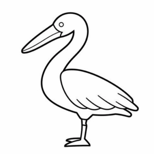 Desenho de pelicano