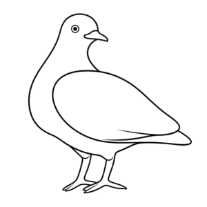 Desenho de pombo