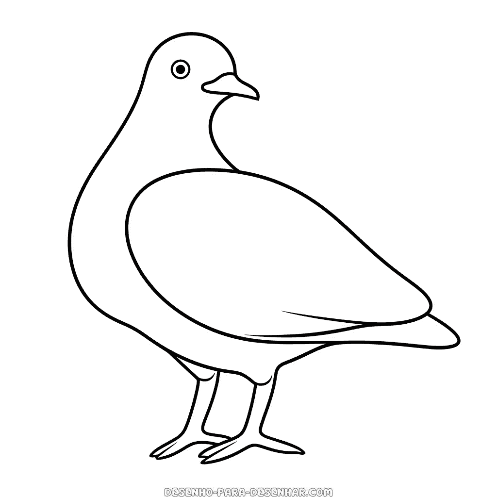 Desenho de pombo