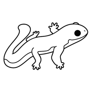 Desenho de salamandra