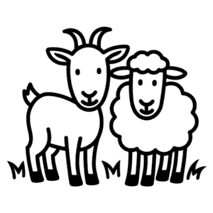 Desenho Fácil de Cabra e Ovelha