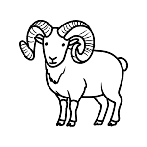 Desenho Fácil de Carneiro de Bighorn