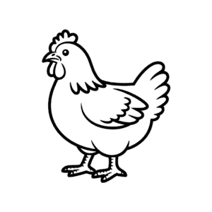 Desenho Fácil da Galinha Plymouth Rock