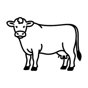 Desenho Fácil da Vaca Jersey