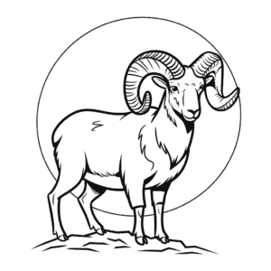 Desenho Fácil de um Carneiro-selvagem Realista