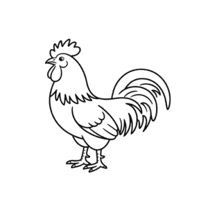 Desenho Fácil do Animal Galo