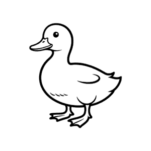 Desenho Fácil do Pato