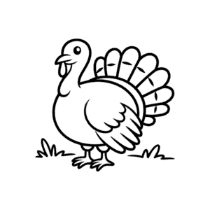 Desenho Fácil do Peru para Bebê