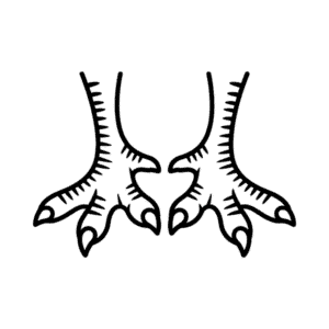 Desenho Fácil dos Pés do Peru