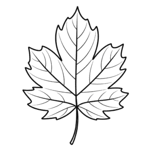 Desenho Fácil da Folha de Outono