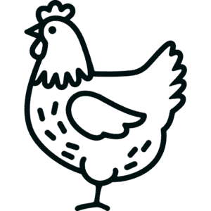 Desenho Fácil da Galinha Simples