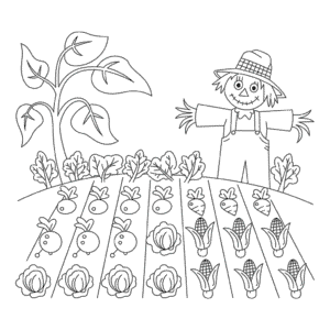 Desenho Fácil da Plantação da Fazenda