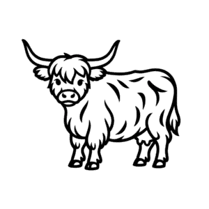 Desenho Fácil da Vaca Highland