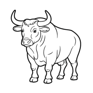 Desenho Fácil do Touro Adulto