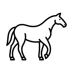 Desenho Fácil do Corpo de um Cavalo